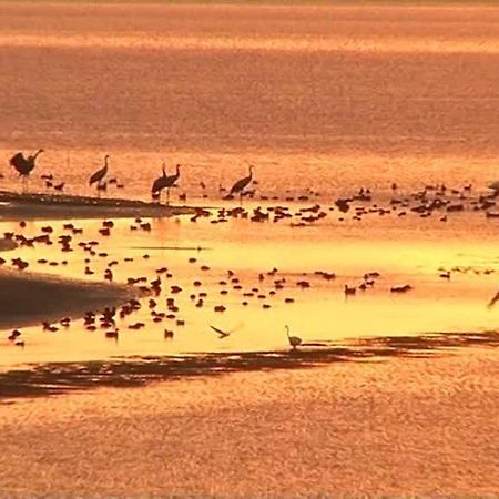 Appt Spacieux Et Lumineux Pour 6 Pers جيفاومونتجيفومون شامبوبير المظهر الخارجي الصورة